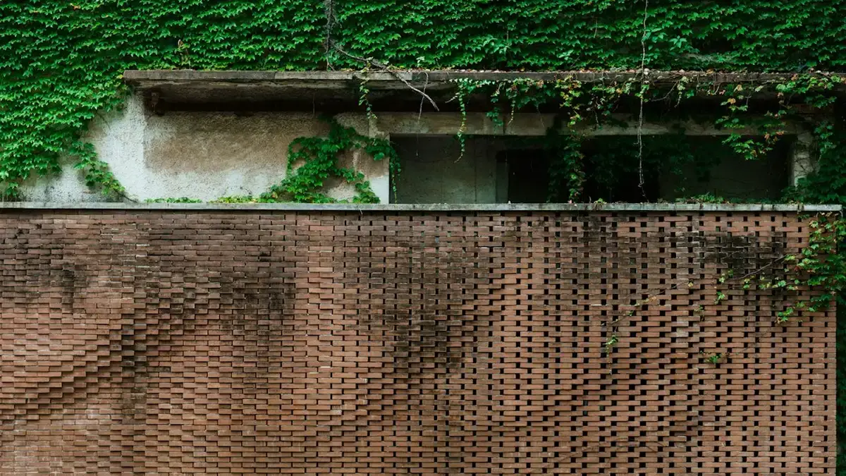 cacher un mur exterieur moche — Cacher un mur extérieur moche : comprendre et agir