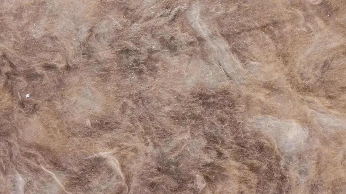 ouate de cellulose pour isolation — Ouate de cellulose pour isolation : définition, effets et limites